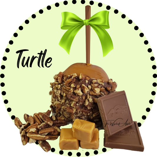 Turtle Caramel Apple